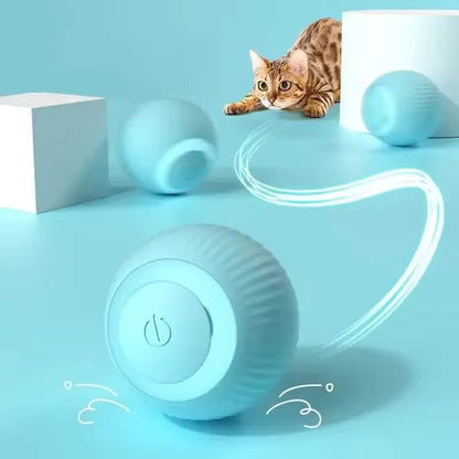 Smart pet rolling ball