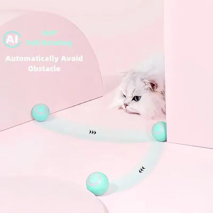 Smart pet rolling ball