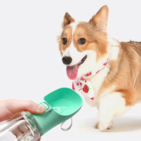 Water bottle with drinking trough